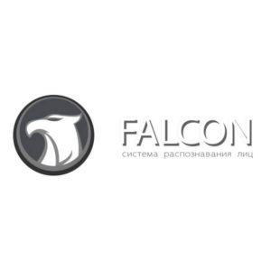 Программное обеспечение системы распознавания людей «Falcon»